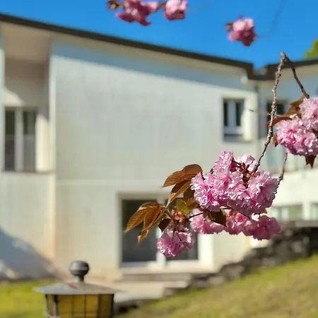 Aparthotel La - & Rooms, By Remorino Locarno